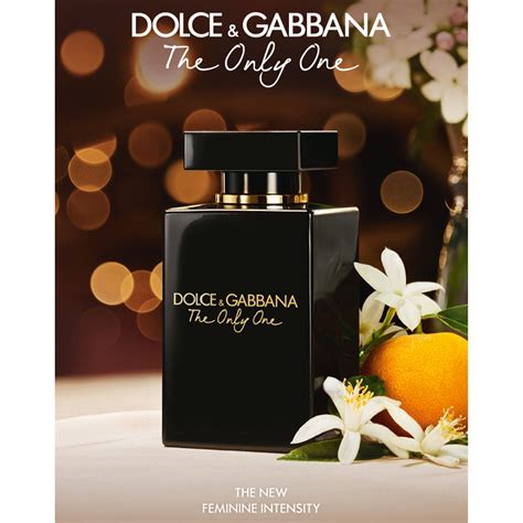 dolce gabbana only.